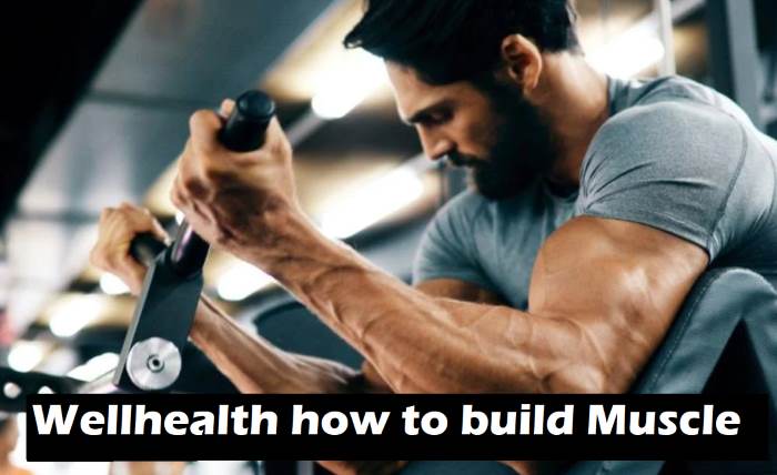 Wellhealth How to Build Muscle Tag- Guide to Effective Strength Training