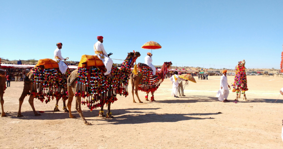 Desert Camel Safari In Sam Dunes