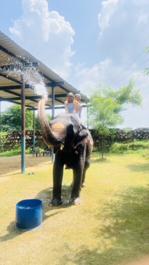 Elefriendride – The Best Elephant Ride in Jaipur