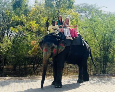 Elephant-ride-Jaipur-At-Elefriendride