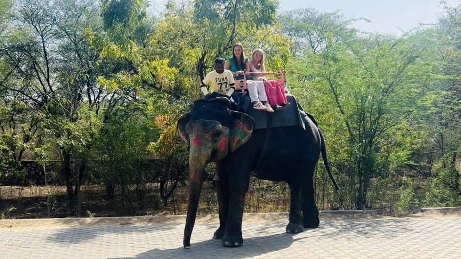 Elephant Rides Jaipur: A Unique Experience at Elefriendride