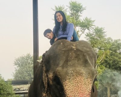 Elefriendide-Elephant-safari-Ride-in-Jaipur