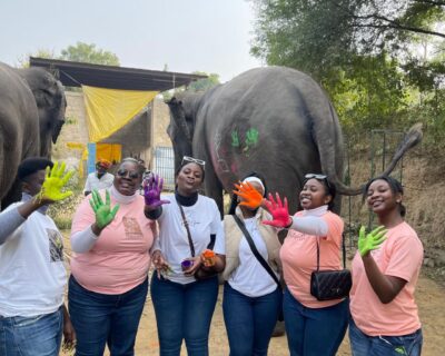 Elephant-Sanctuary-Jaipur-Elefriendride